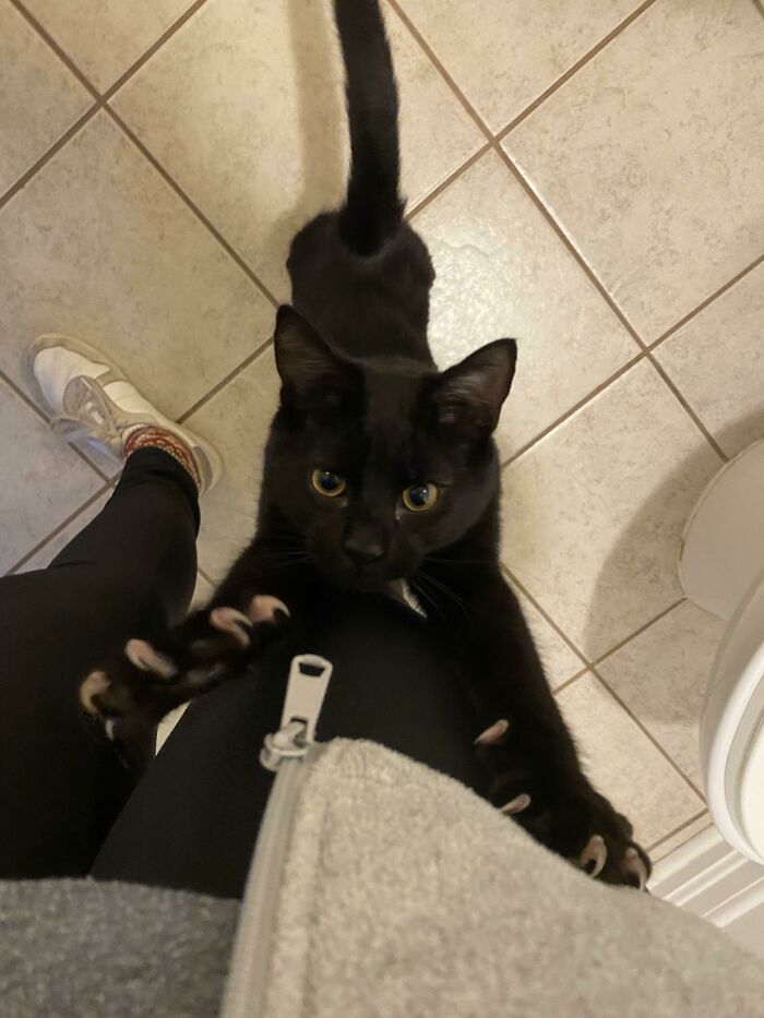 Winston When We Spent Too Long Out Of The House