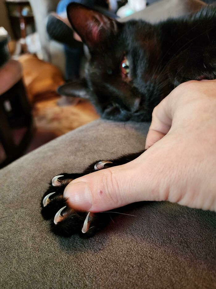 Press The Central Pad To Deploy