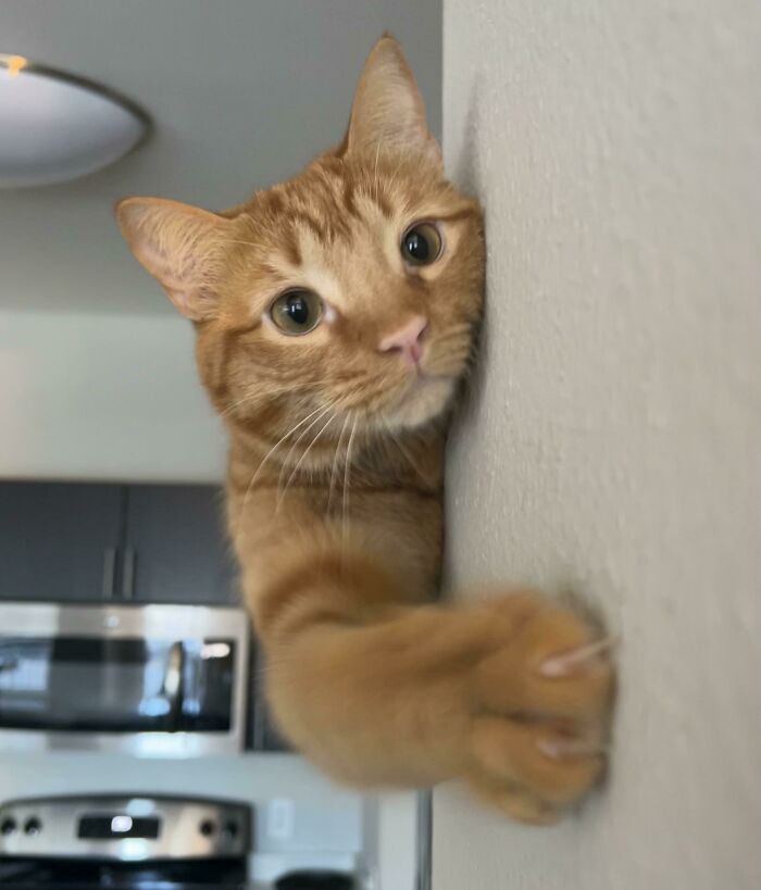 He’s Ready For Battle