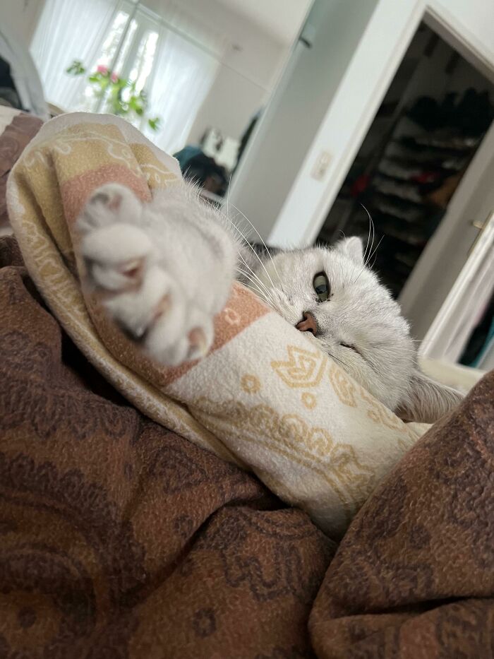 Took A Nap And Woke Up To This