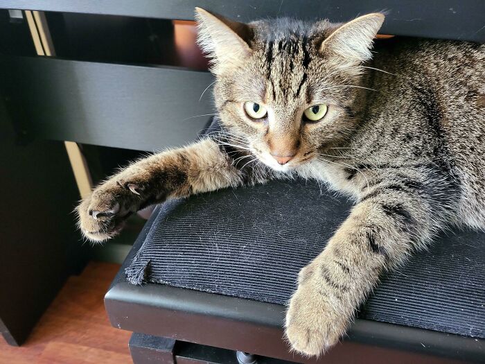 Marv Wants To Show Me Something