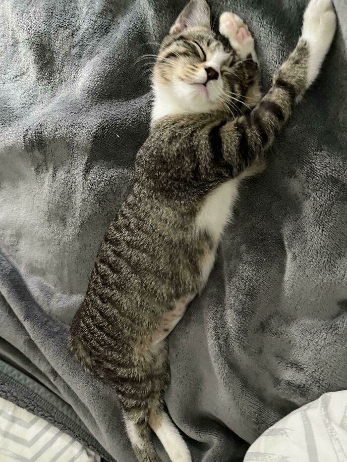 I Adopted Her Yesterday; I Think She Feels At Home