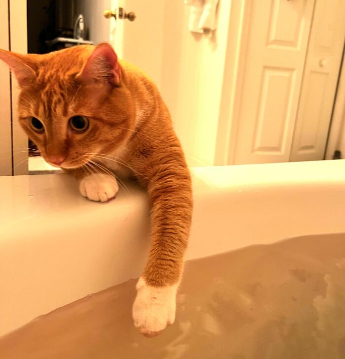 Michu Testing The Waters