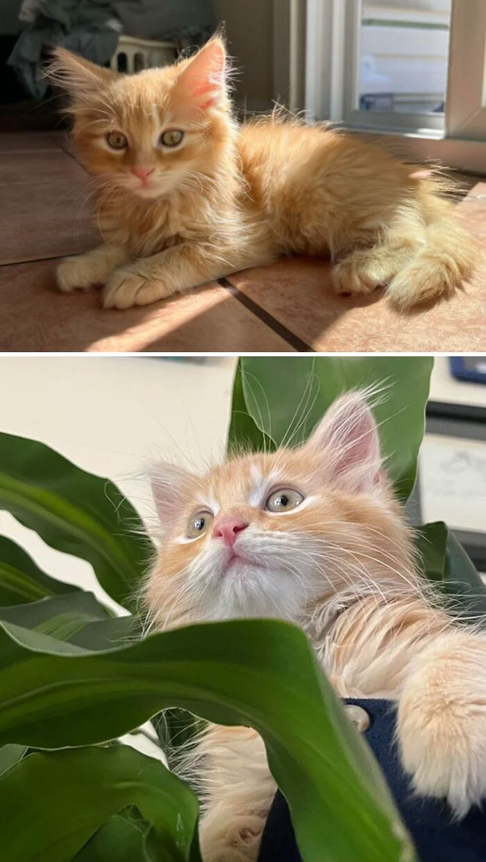 My Sweet, Small Boy. His Name Is Jack