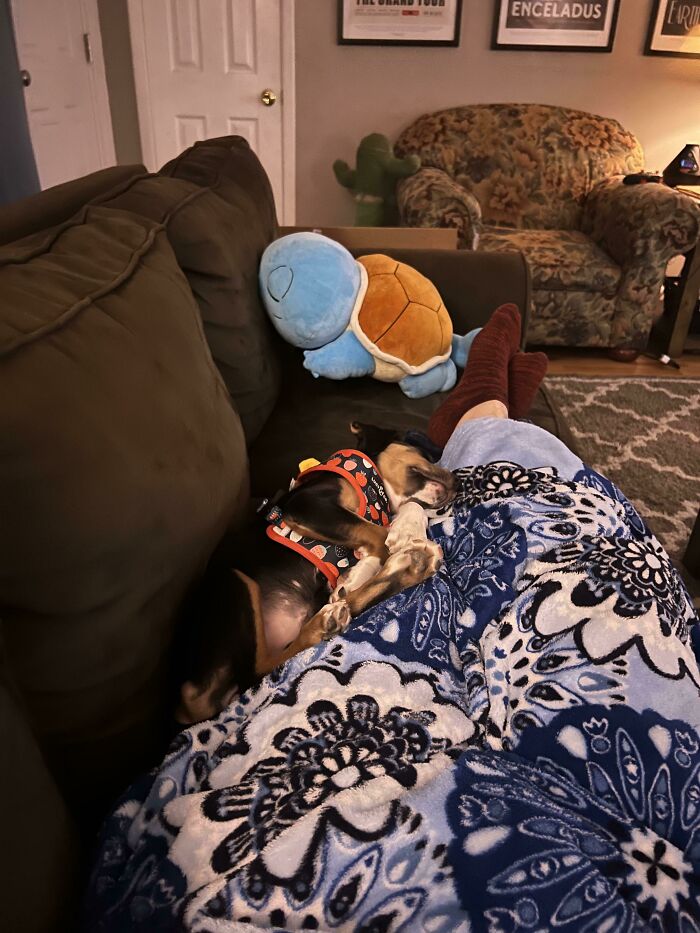 This Is Night 2 Since I Adopted My Puppy. I’m So Happy She’s A Snuggler