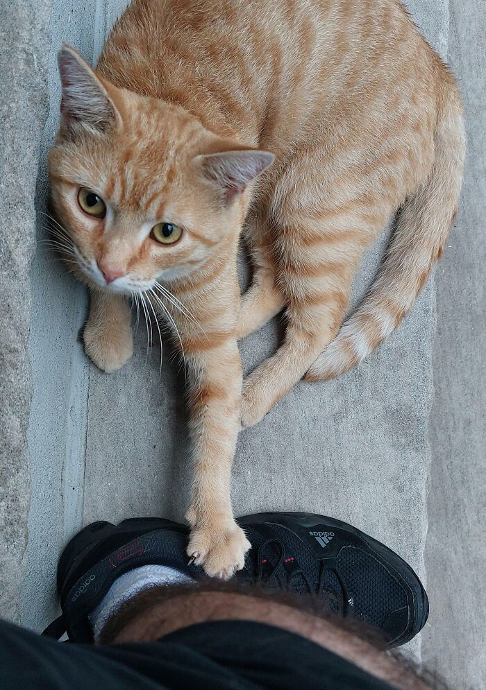 He Got Me By The Claw