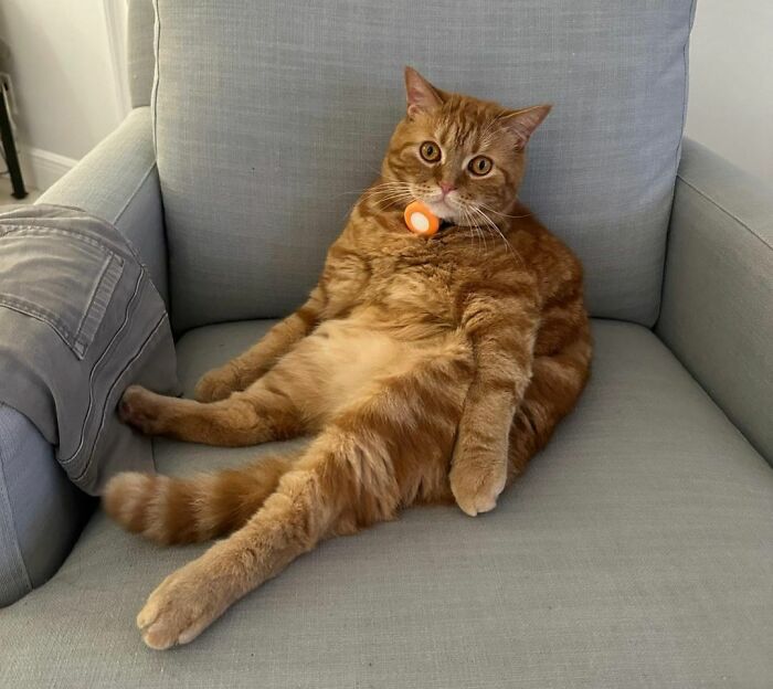 How I Sitz In My Chair