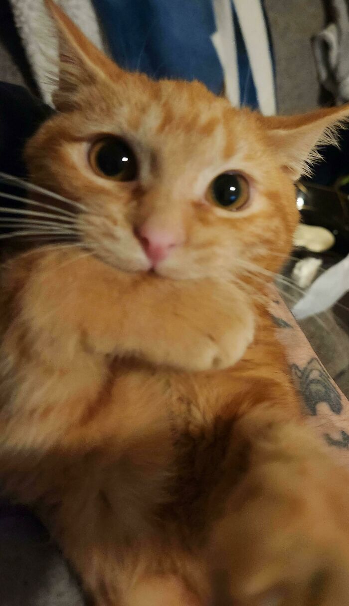 She Bites Her Ownself If She Can't Bite Me