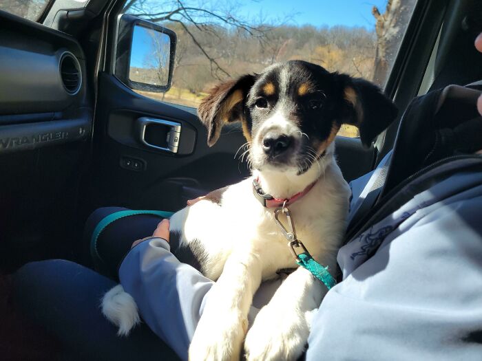 Jasper, Adopted Today