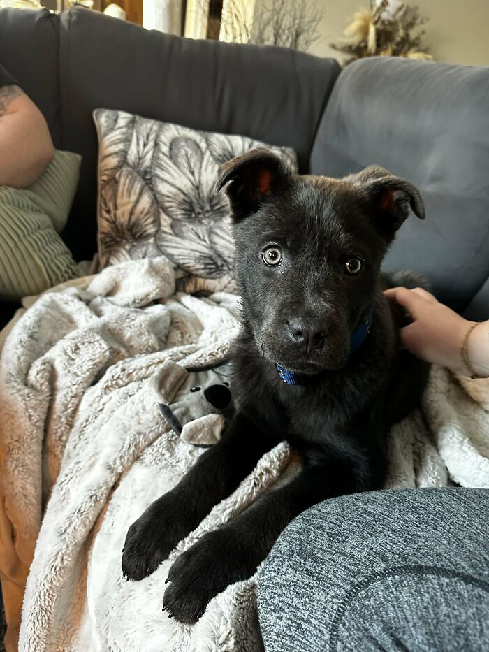 Blu’s First Night Home