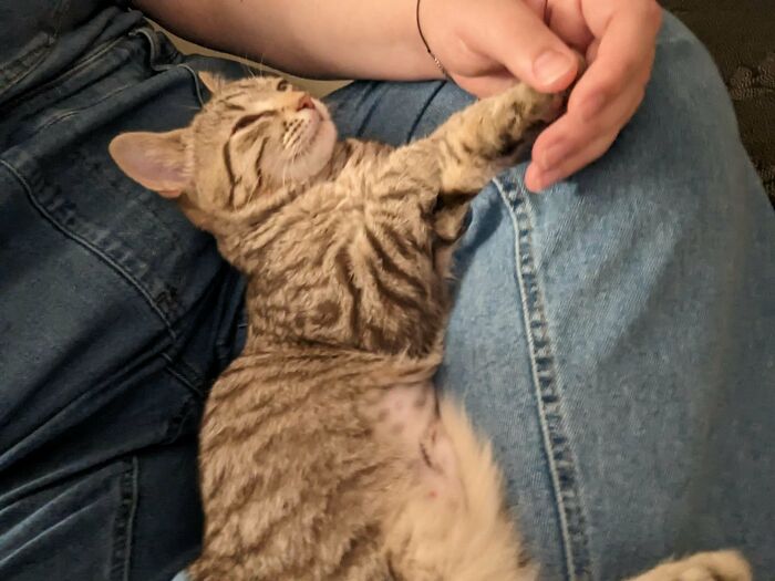 Adopted This Baby Today