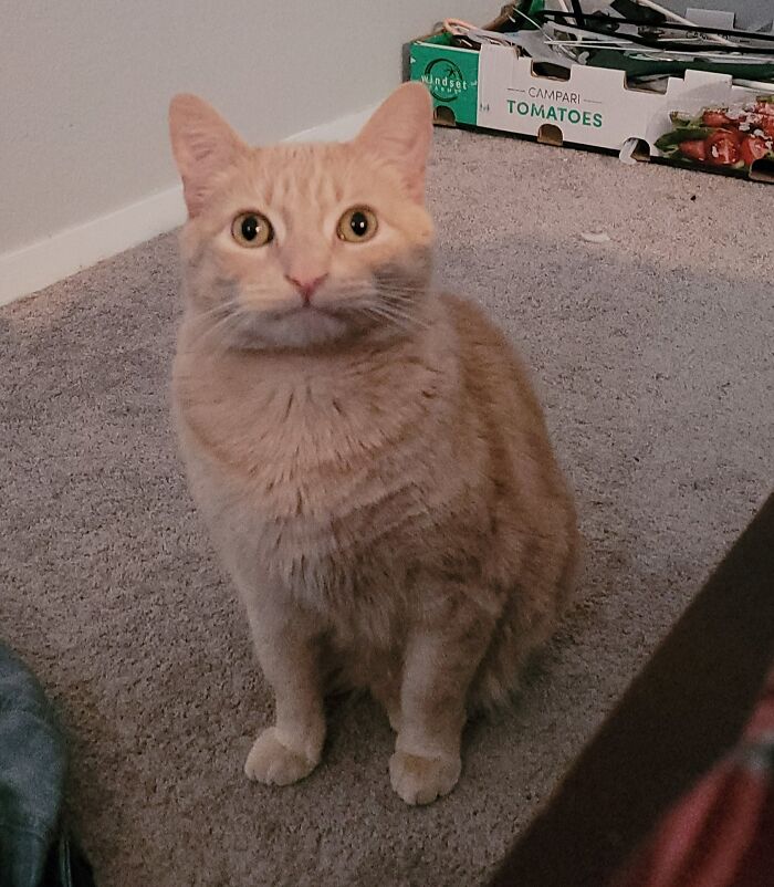 Five Years With My Creature