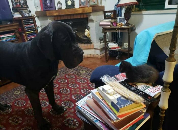 Friends Come In All Sizes