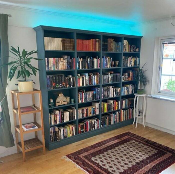 blue bookshelf 