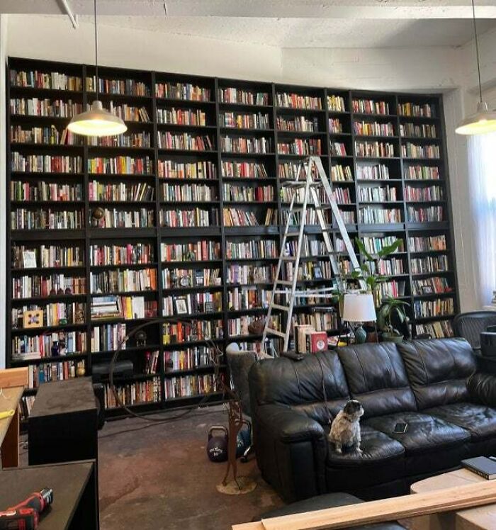 dog sitting on a brown couch 