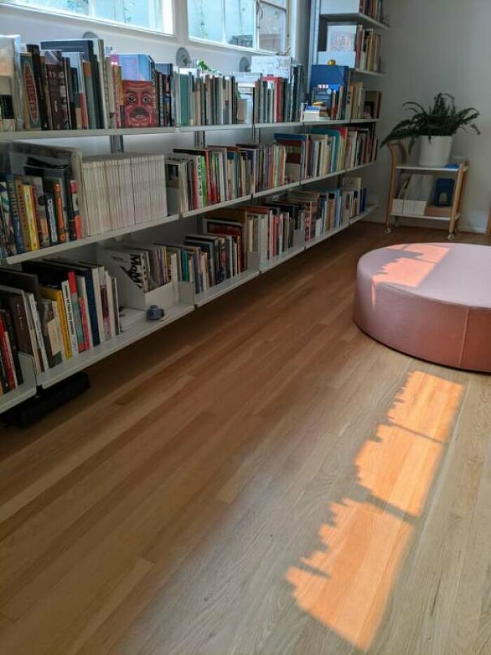 Bookshelf below the window 