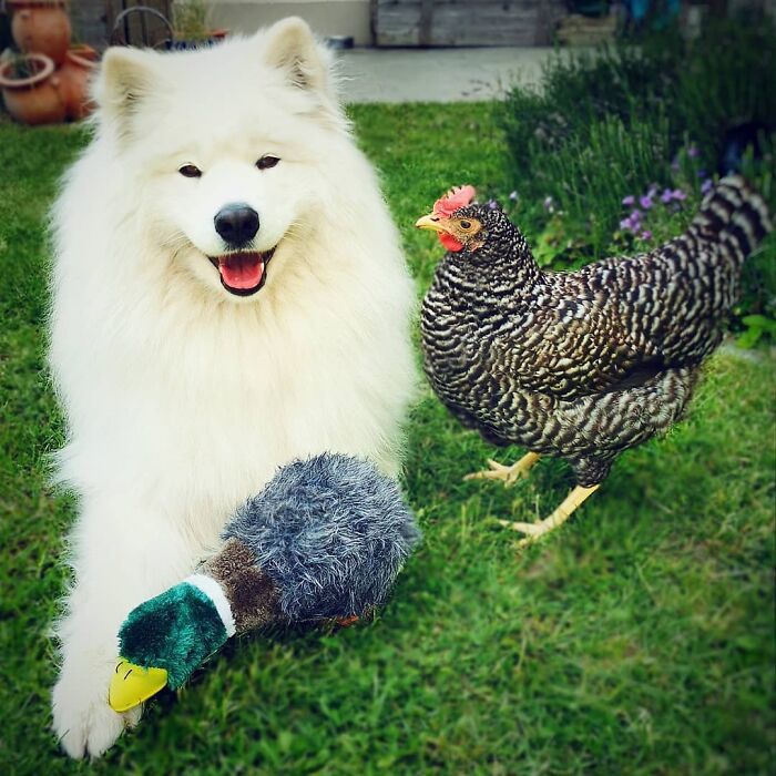 Aspen And Mildred, A Different Love Story