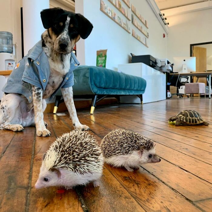 Just Hangin With My Friends The Gangs All Here