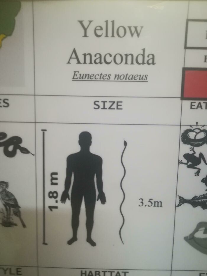 Scale Is A Social Construct, And Therefore Can Be Ignored