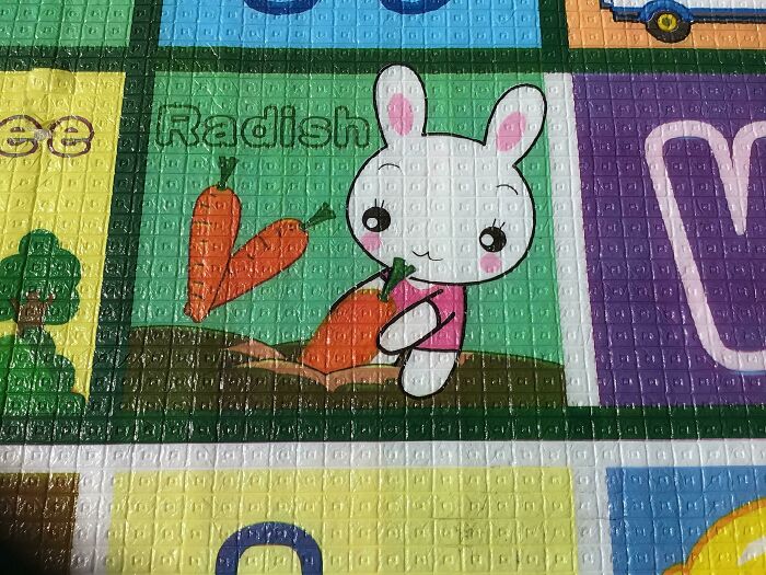 My Baby Brother’s Play Mat Isn’t Correct, Or Is It?
