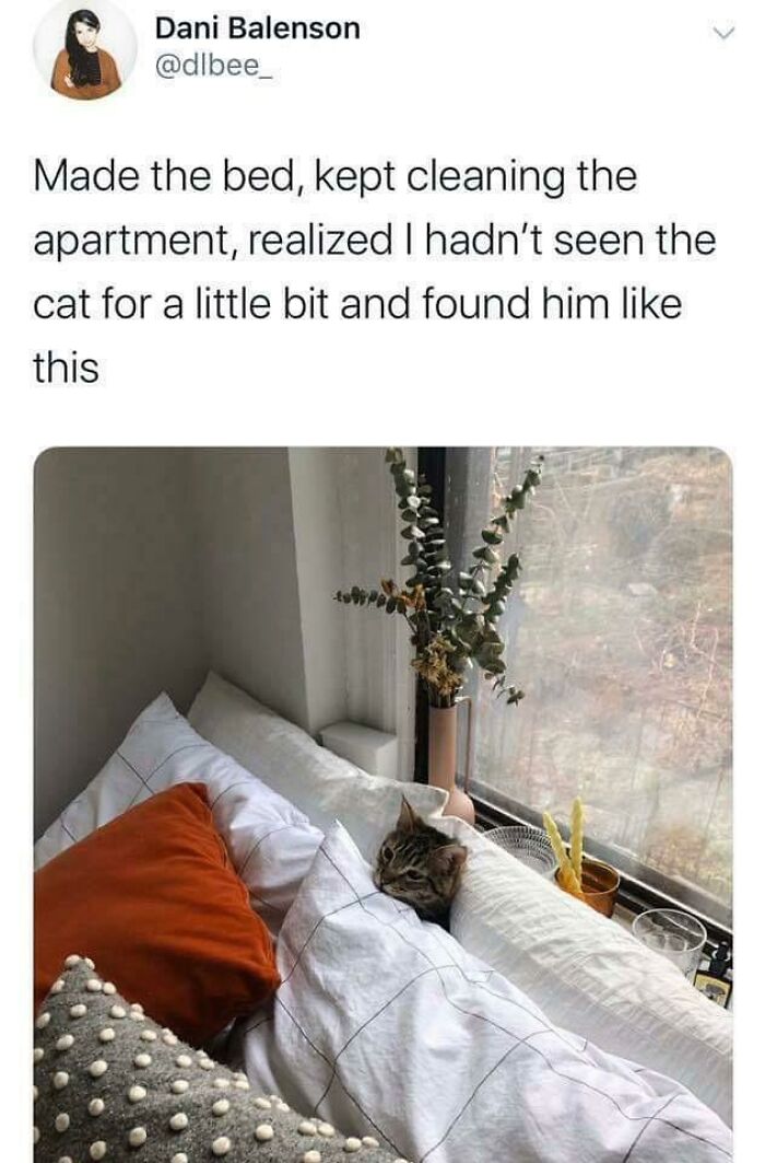 “Well…at Least It’s Just Pillows.”