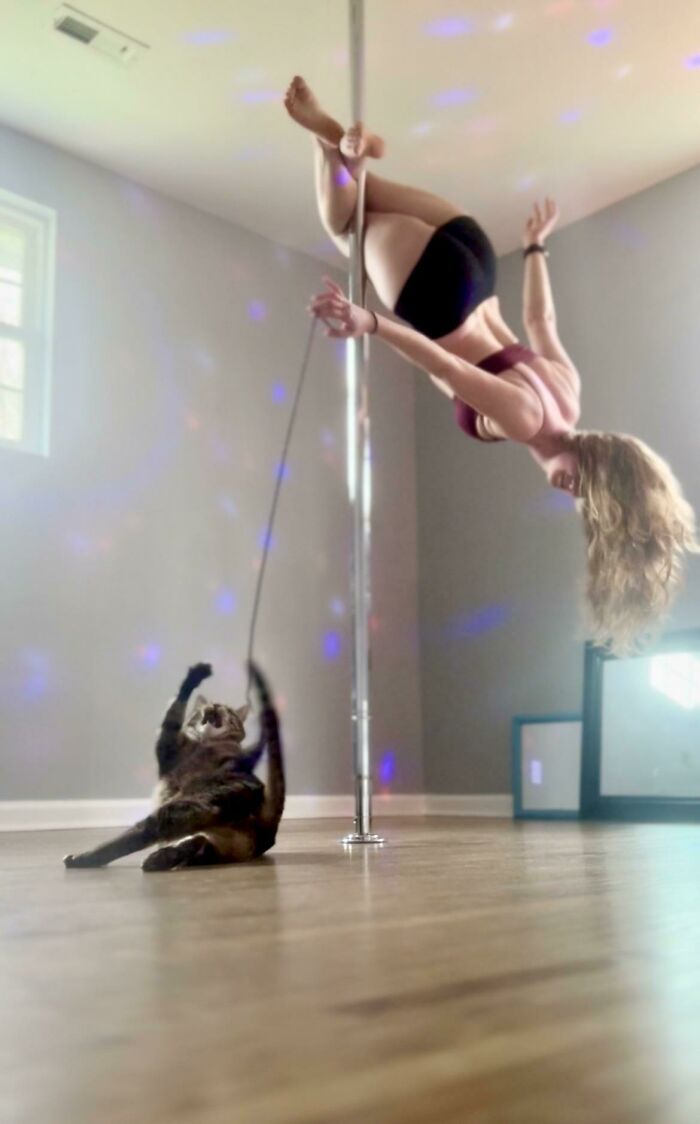 Caught A Purfect Moment Of Mr. Wilson’s Sheer Determination