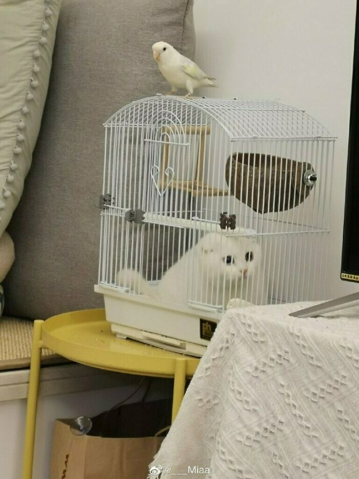 Thinking About The Life Choices That LED Him To This Point