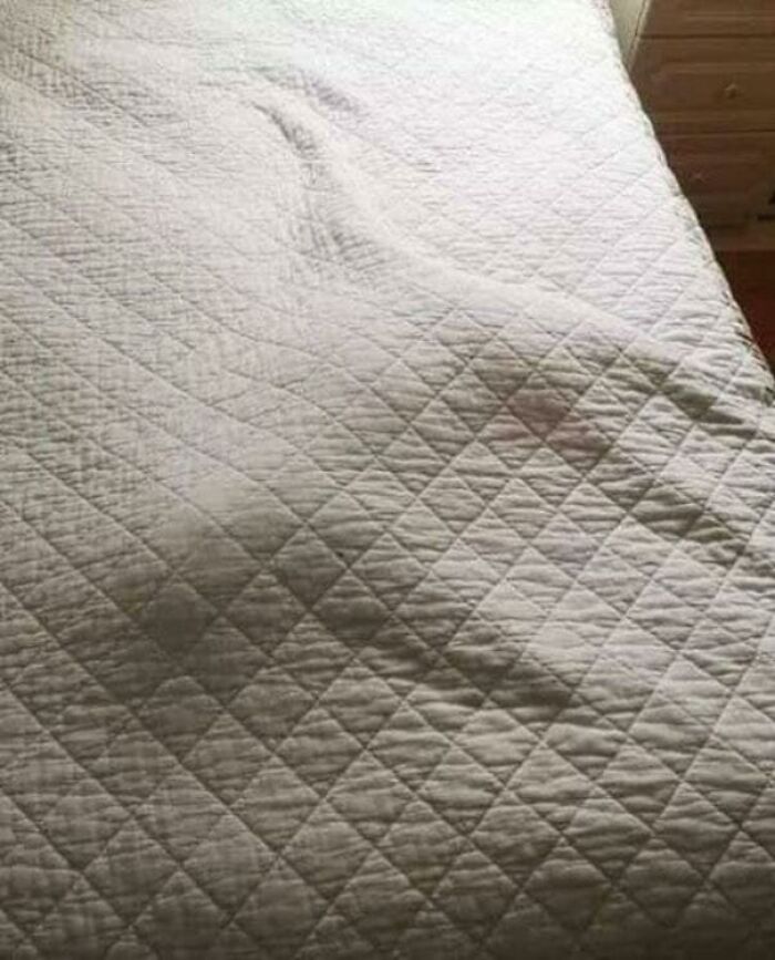 "Finally Some Peace And Quiet"