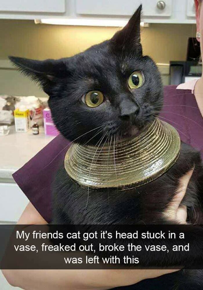 Straight Outta Tom & Jerry