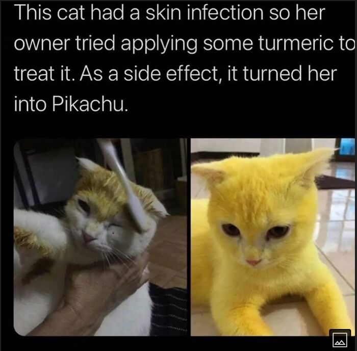 Meowkachu