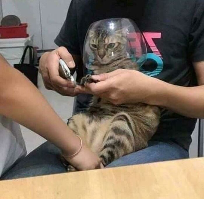 "You Will Pay For This!"