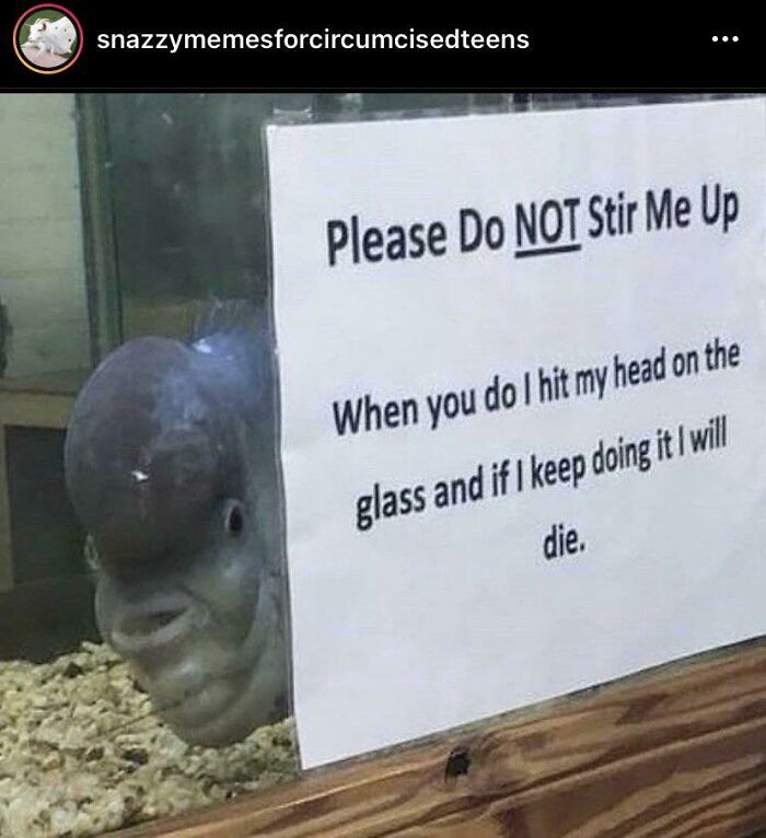 I’m Pretty Sure This Is Like A Fish Tank Or Smth… 💀 I Just Don’t Understand Why A Sign Would Be Needed, Have Ppl Been Stirring This Fish Tank For Fun?