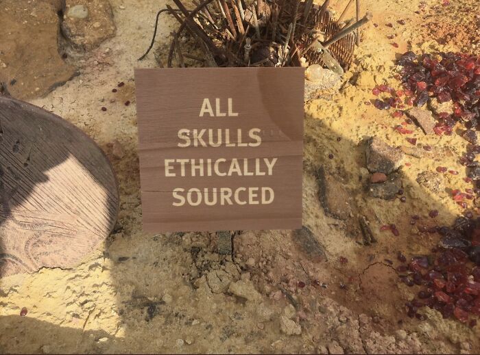 Knowing Doesn’t Make Me Feel Any Better!