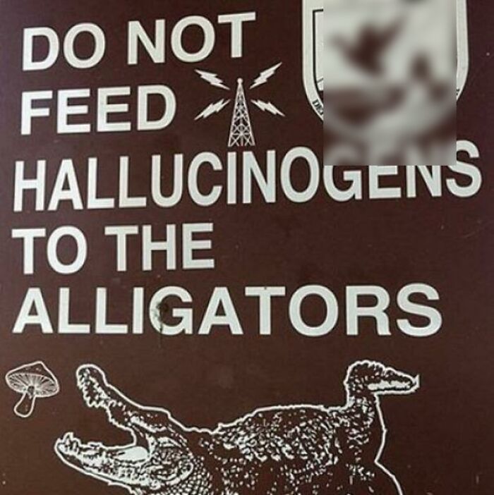 What The Hell Happened Here