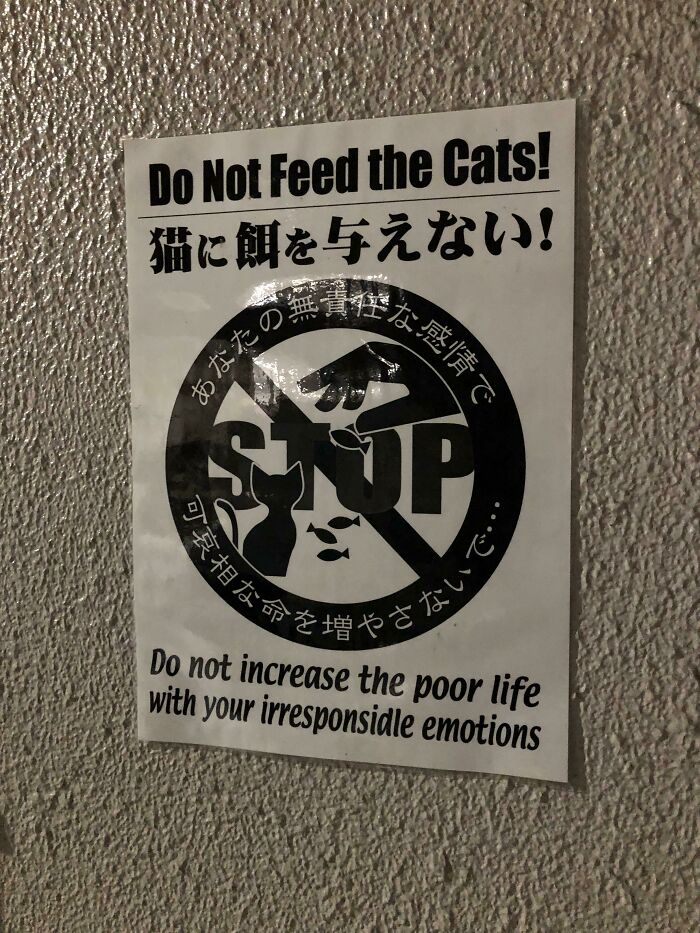 Meanwhile, In Osaka