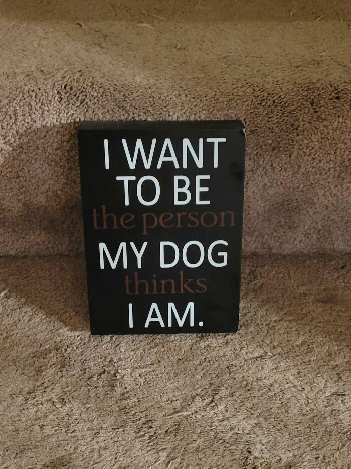 Terrible Sign Color Choices