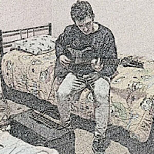 whyfireflieswhy avatar