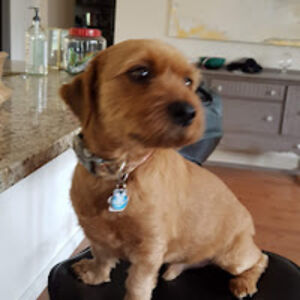 allanrumberger avatar