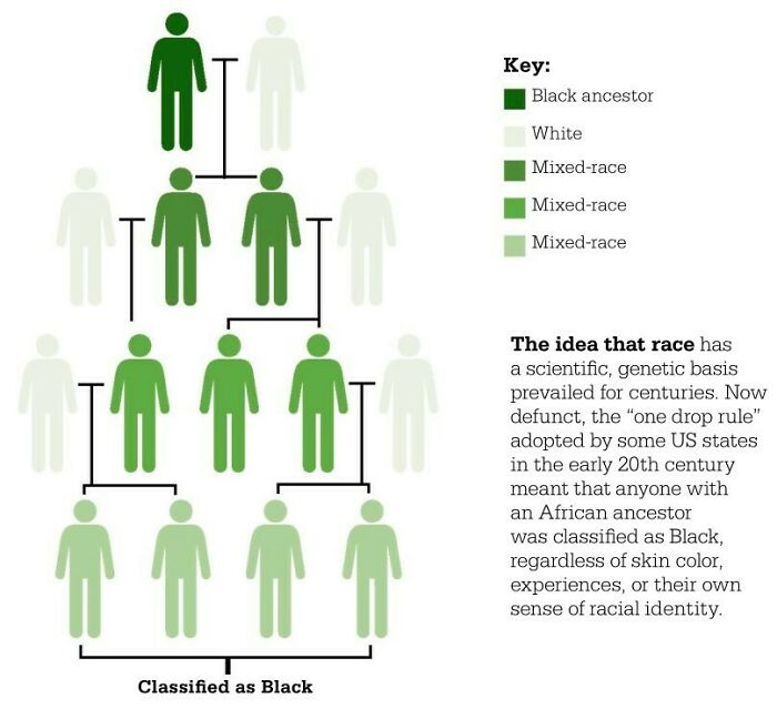 'one Drop' Classification