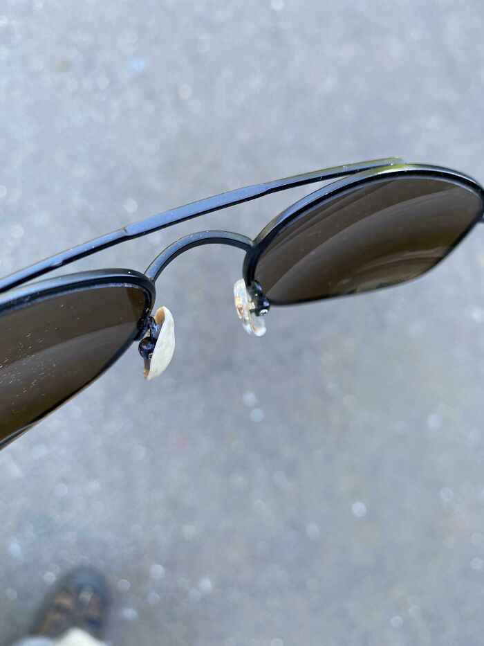 Pistachio Nut And A Dab Of Glue Saved The Day