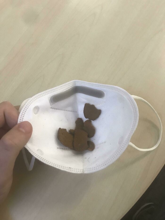 Tired Of Constantly Removing Or Shifting Your Mask When Snacking In Public? Why Not Take A Leaf From The Horse Book And Use Your Mask Like A Feed Bag?