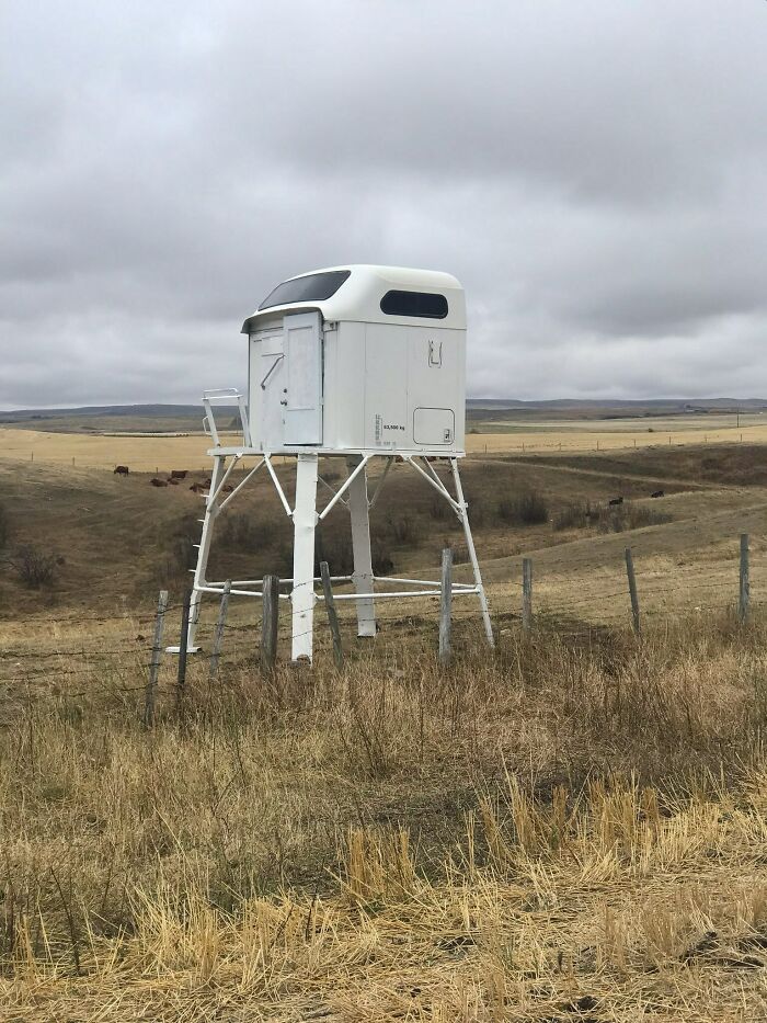 A Friend's Friends Hunting Blind