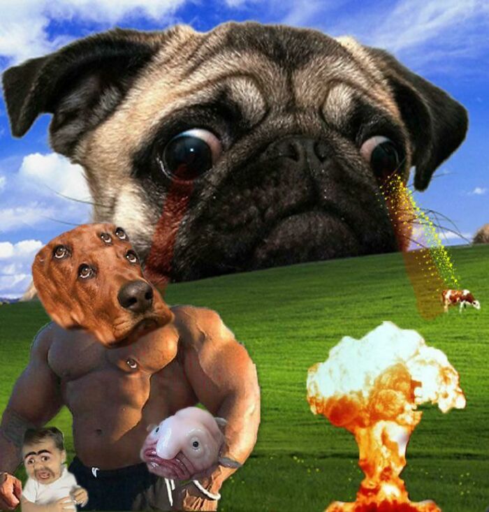 Hice esto siguiendo las instrucciones de mi hijo