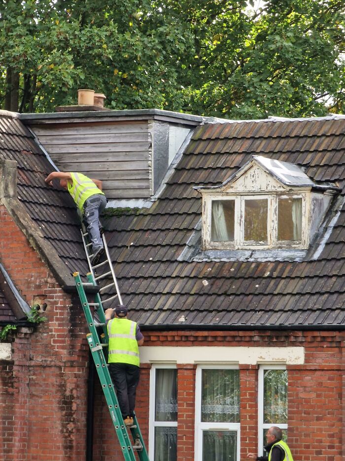 It's Ok, They Have Hi-Viz Vests On