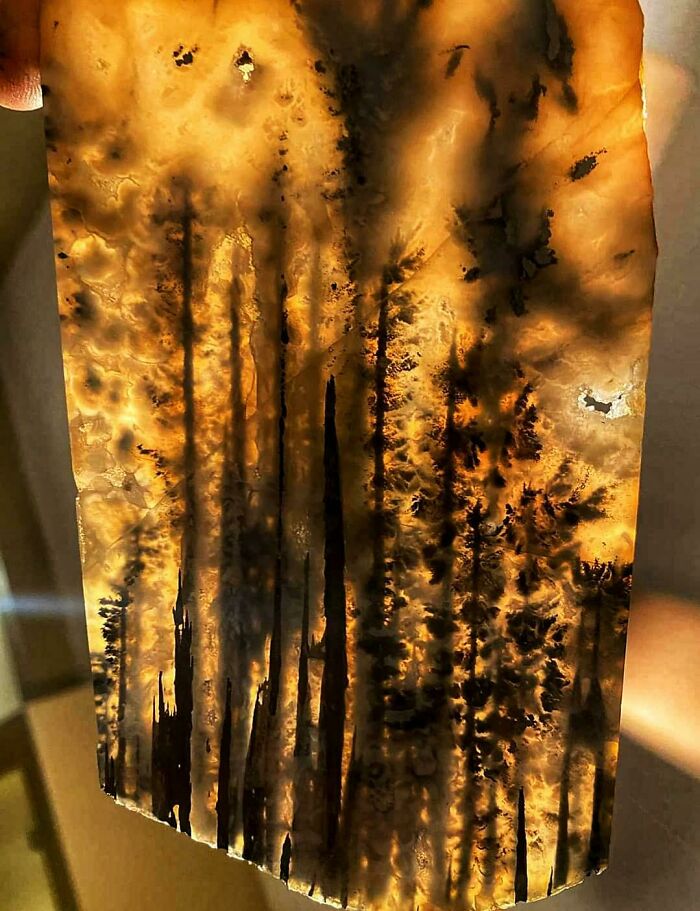 This Agate That Looks Like A Wildfire