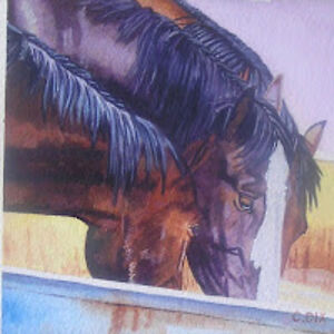 downhomesunset avatar