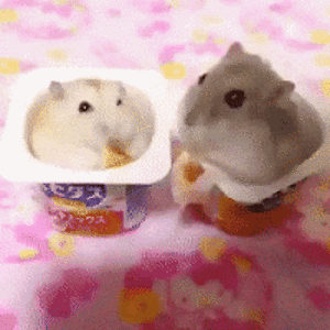 isabellaruffini avatar