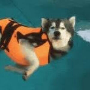 sigridkrueger avatar