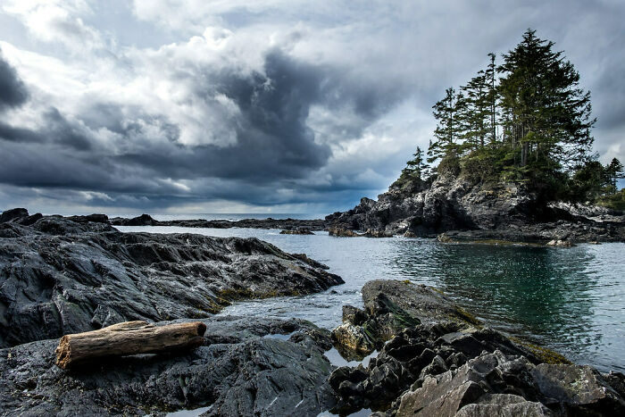 Lake with trees and rocks in Vancouver Island