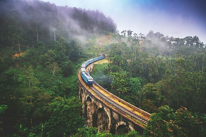Train near forest in Sri Lanka